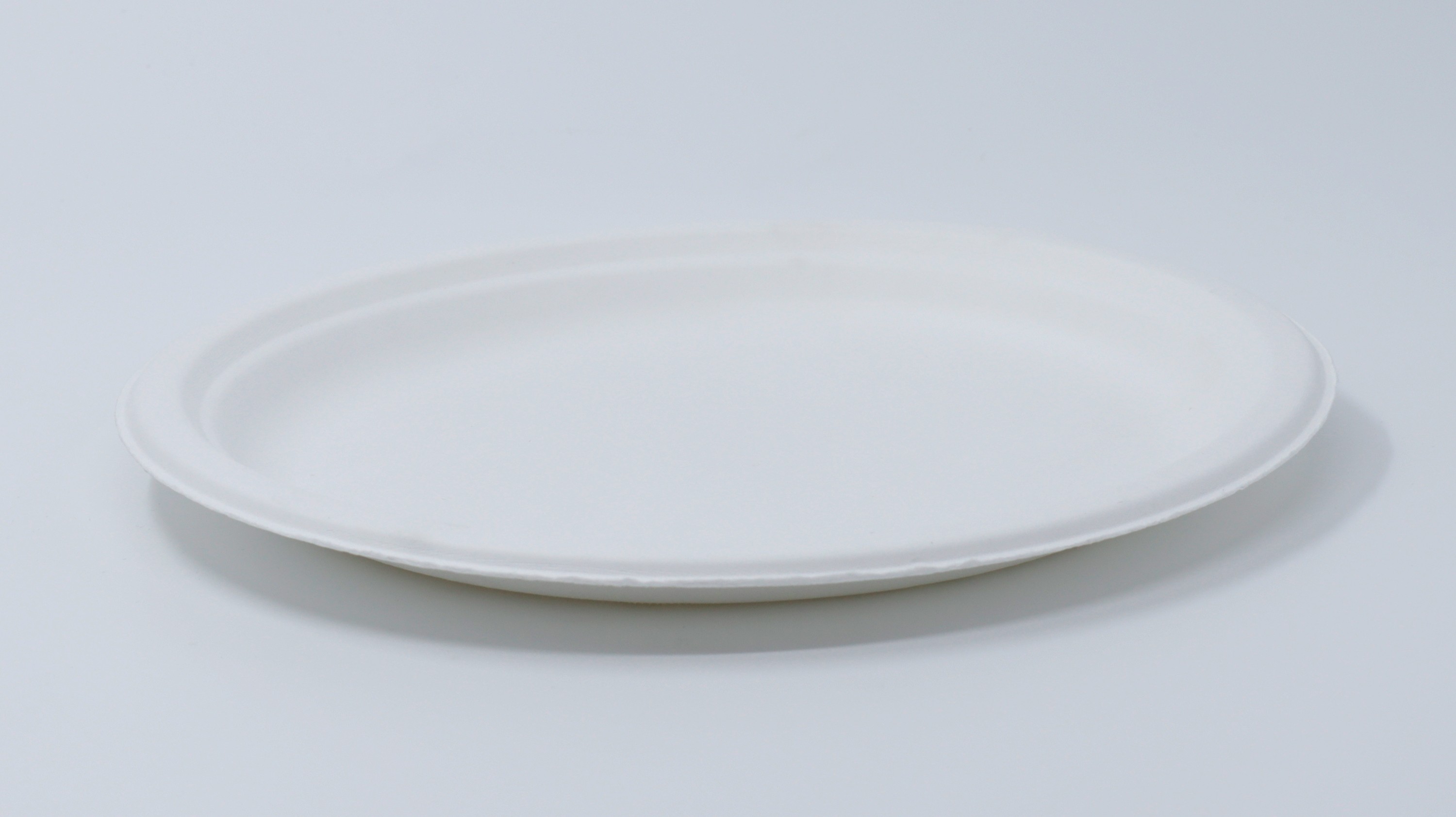 10" Bagasse Plate(圆形)(Fibre-P005)