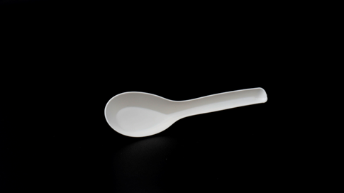 Eco Biodegradable Chinese Spoon