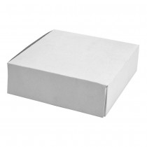 White Paper Box 白盒