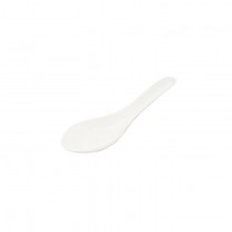 Soup Spoon (2880)