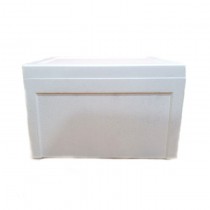 EPS Foam Boxes (B BOX)