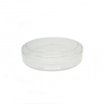 6272 Clear Container & Lid