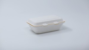 Bio Lunch Box (Fibre)(KS-X600-1)
