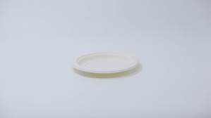 6" Bagasse Plate(圆形)Biocane-B-PL-06