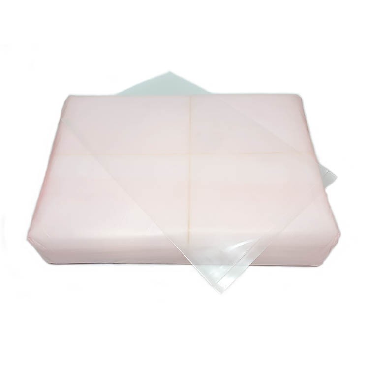 LDPE Plastic Bag ( Hole )