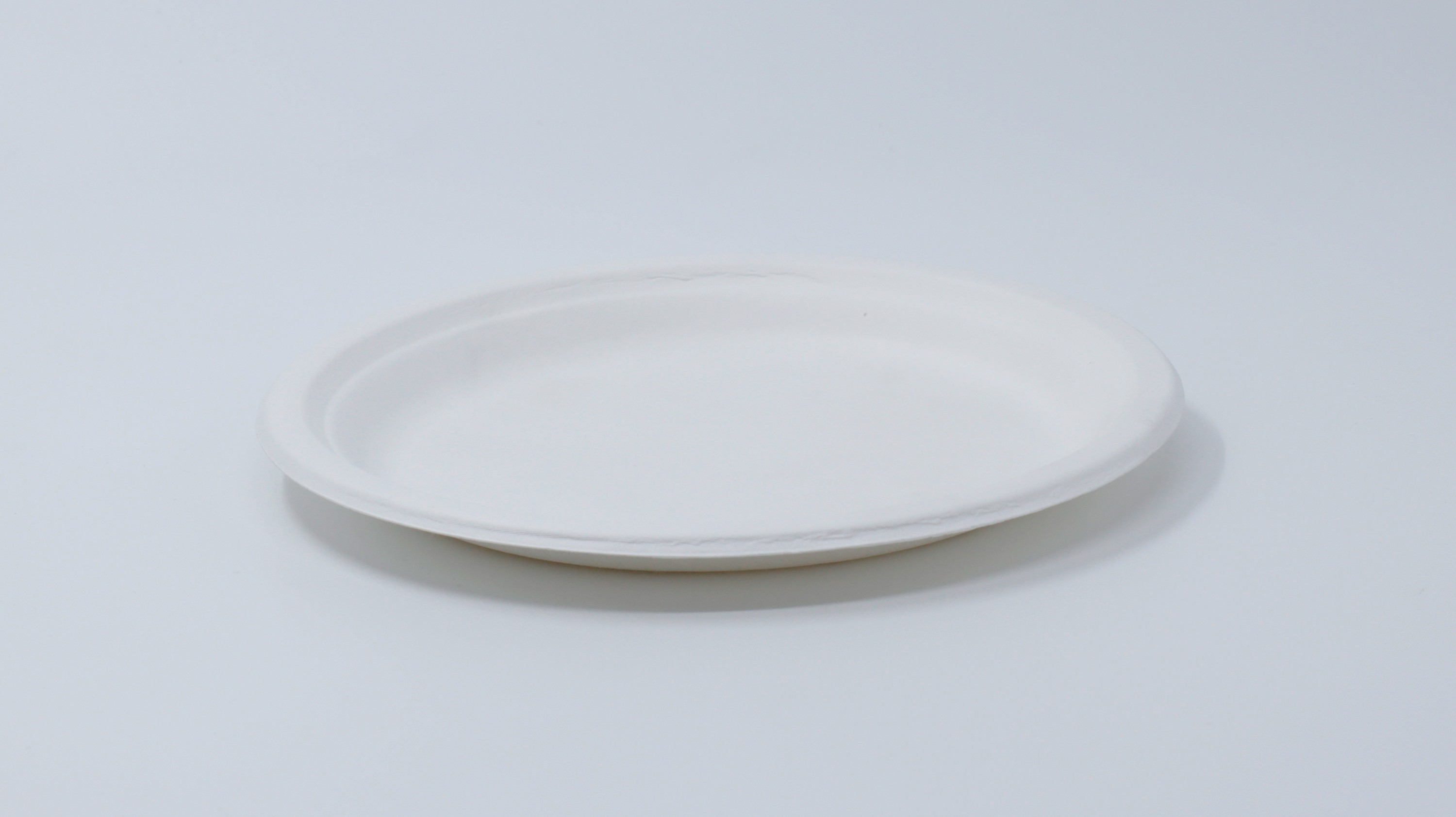 9" Bagasse Plate(圆形)(Fibre-P013)