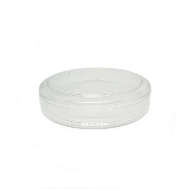 6272 Clear Container & Lid