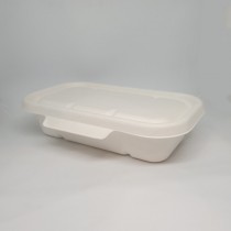 1000ml Biocane Takeaway Bases