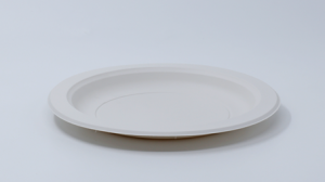 9" Eco Plate(Corn Starch)(CYD 09-02)