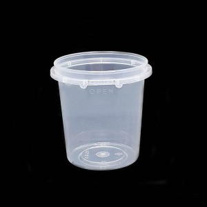 FPT MS SL8 Container
