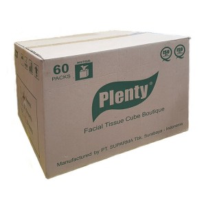 Cube Facial Tissue (Plenty)